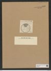 Actinoptychus adriaticus var. balearicus Grun. (de-Toni-Nr.: Genus 227, Species 5557) Zeichnungen Sammlung Grunow Nr. 9586 (NHMW-BOT-W0379402)